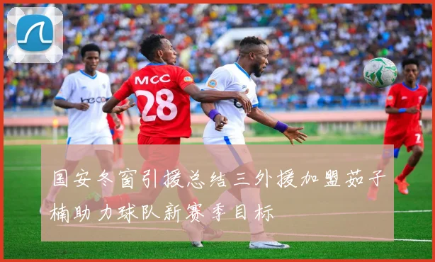 国安冬窗引援总结三外援加盟茹子楠助力球队新赛季目标