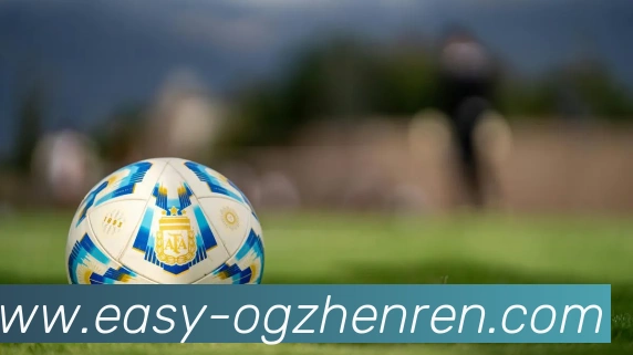 App Interface Preview