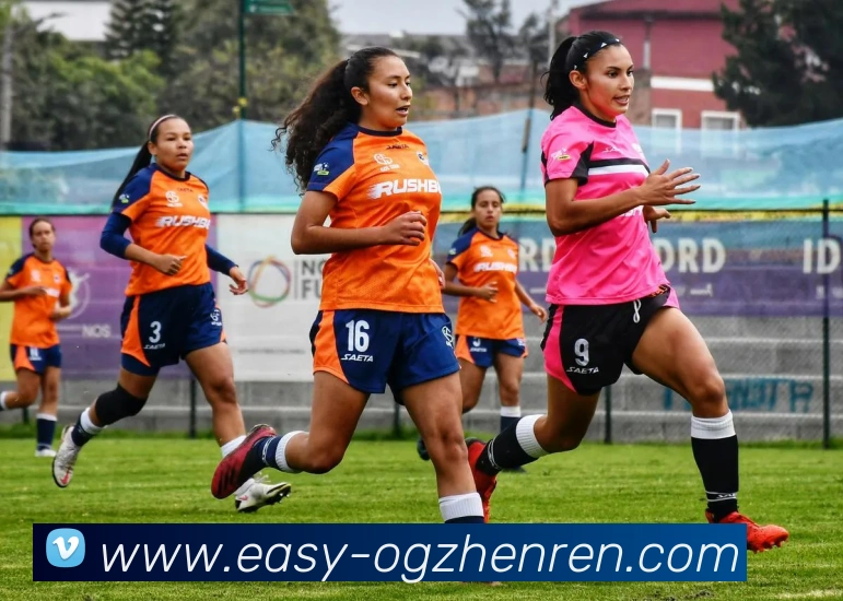 OG真人APP 封面图